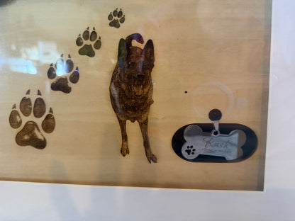 Pet Memorial Shadowbox