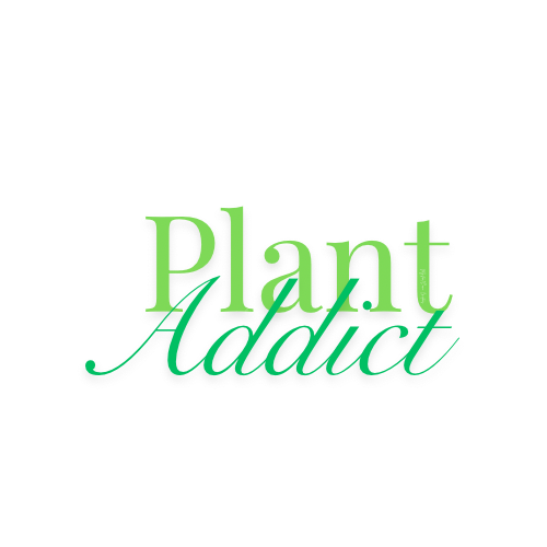 Plant Addict Tshirt
