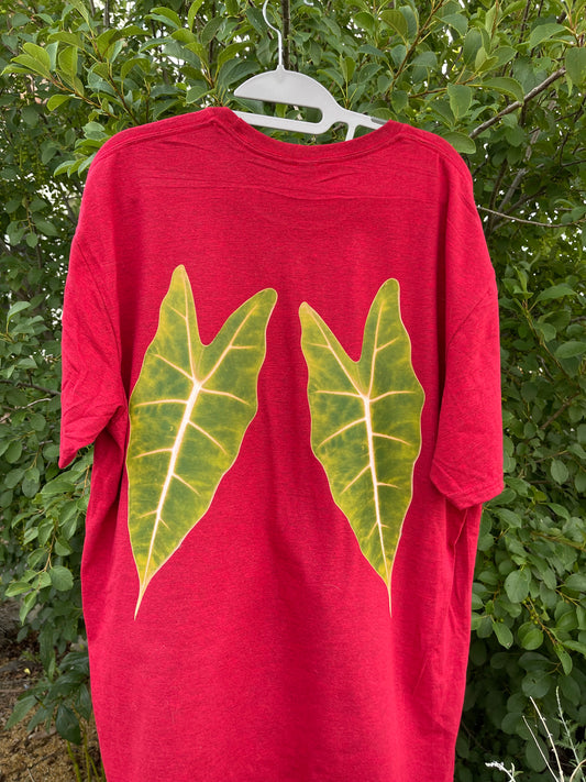 Frydek Angel Wings